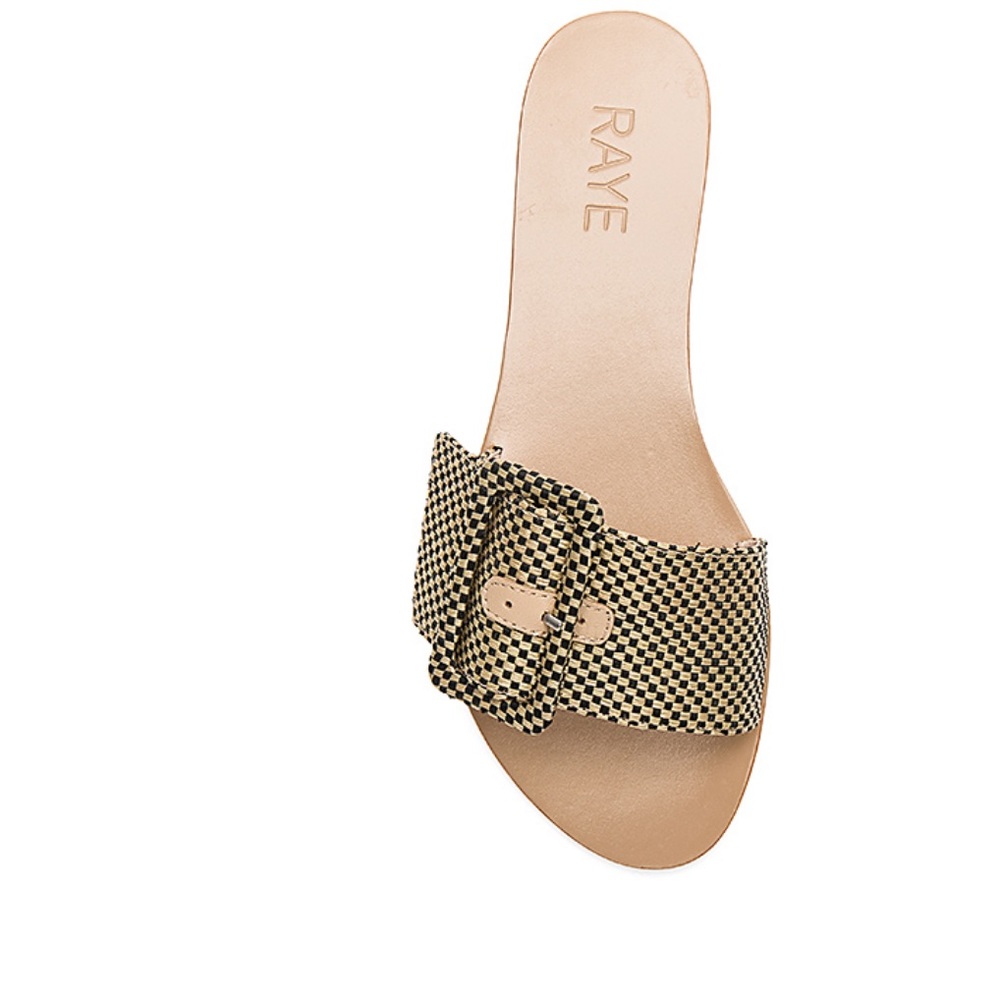 RAYE slides